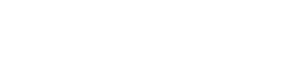 Wisegent – system för städföretag